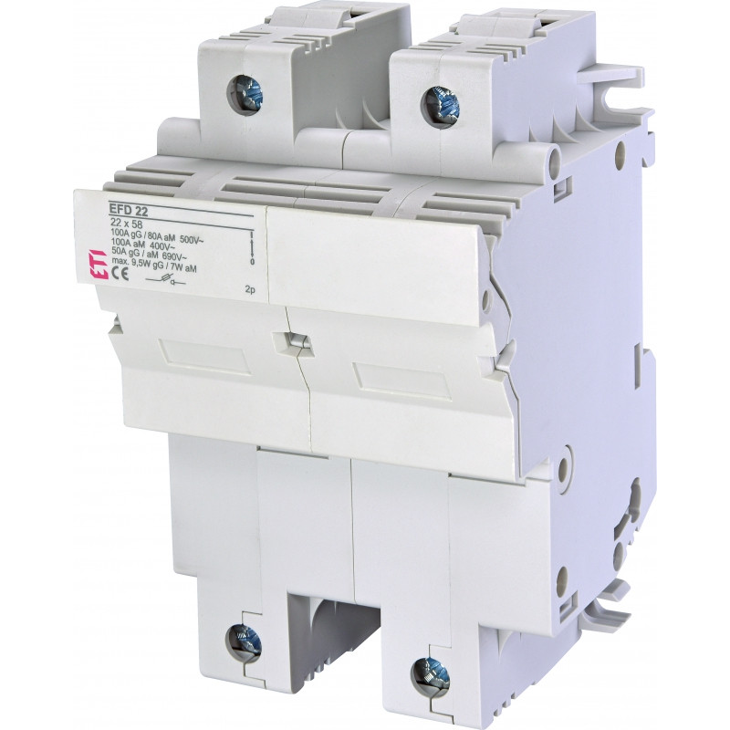 Роз'єднувач EFD 22 2P 100A 690V AC