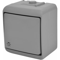 Кнопка "світло" VHE-5-SR (сіра, IP54)