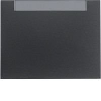 Клавіша 1Х з полем д/надпису, антрацит, K.1