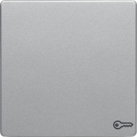 Клавіша 1Х зі знаком 'Ключ', алюміній, Q.x