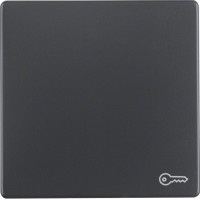 Клавіша 1Х зі знаком 'Ключ', антрацит, Q.x