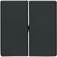 Клавіша 2Х, антрацит, Q.x