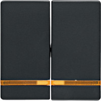 Клавіша 2Х з лінзою, антрацит, Q.x